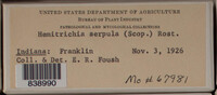 Image Associated With the Occurence